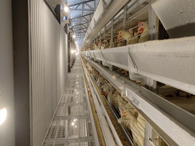 ӯBʽB(yng)uO(sh)-u5